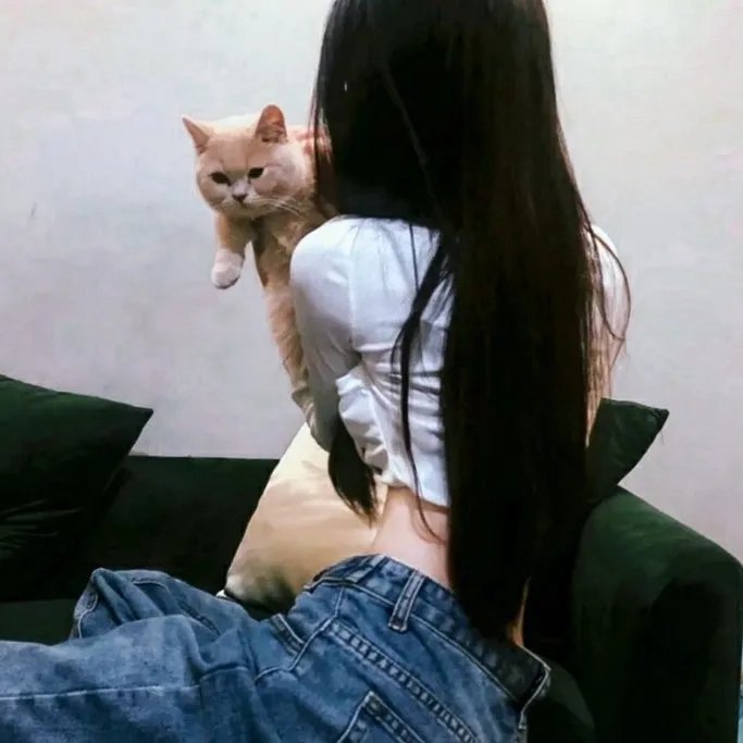杰克与大象