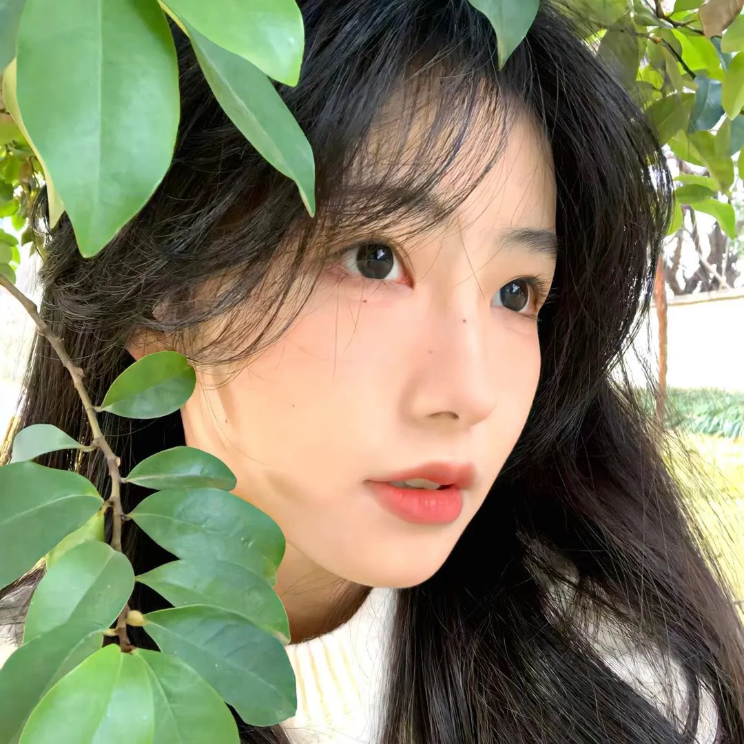 陈夫人最后之一吻
